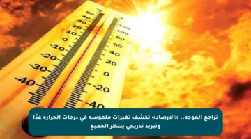 تراجع الموجة.. «الأرصاد» تكشف تغيرات ملموسة في درجات الحرارة غدًا وتبريد تدريجي ينتظر الجميع